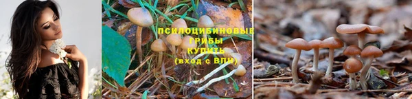 винт Армянск