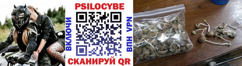 Псилоцибиновые грибы Psilocybine cubensis  где продают наркотики  Камбарка 